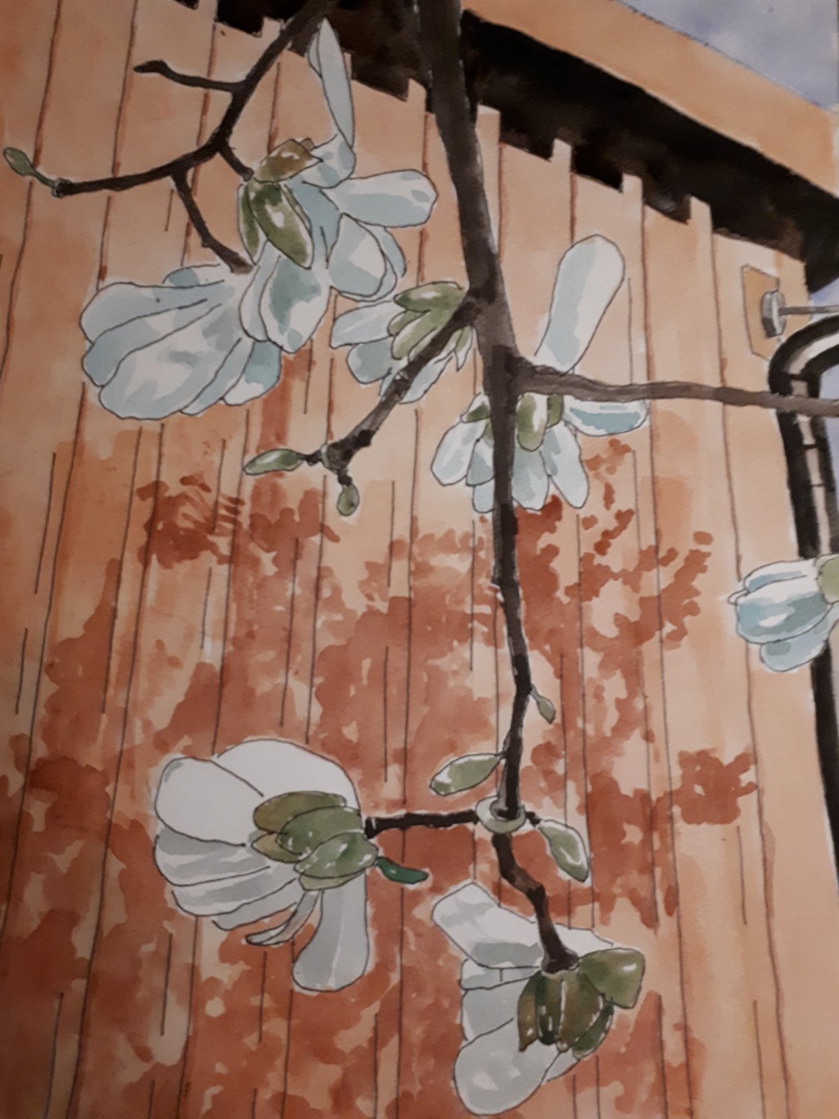 Coronatider v 21:&nbsp;Ljus