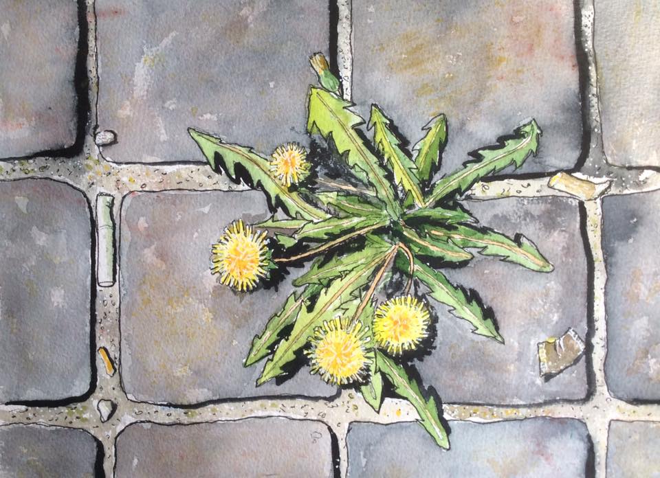 Coronatider v 19:&nbsp;Våren!