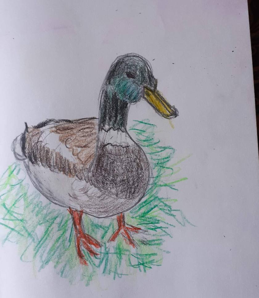 facebook_1591026520153_6673248897585632929