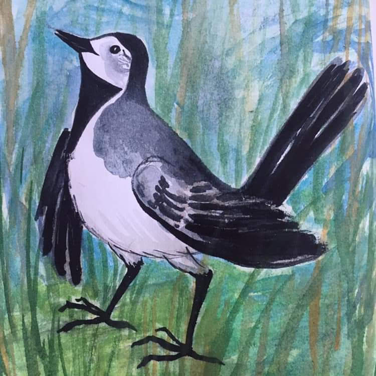 facebook_1591026570122_6673249107172274341