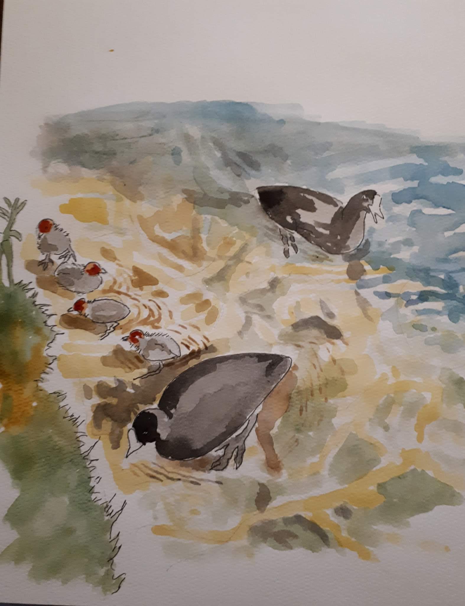 facebook_1591026618404_6673249309681174908