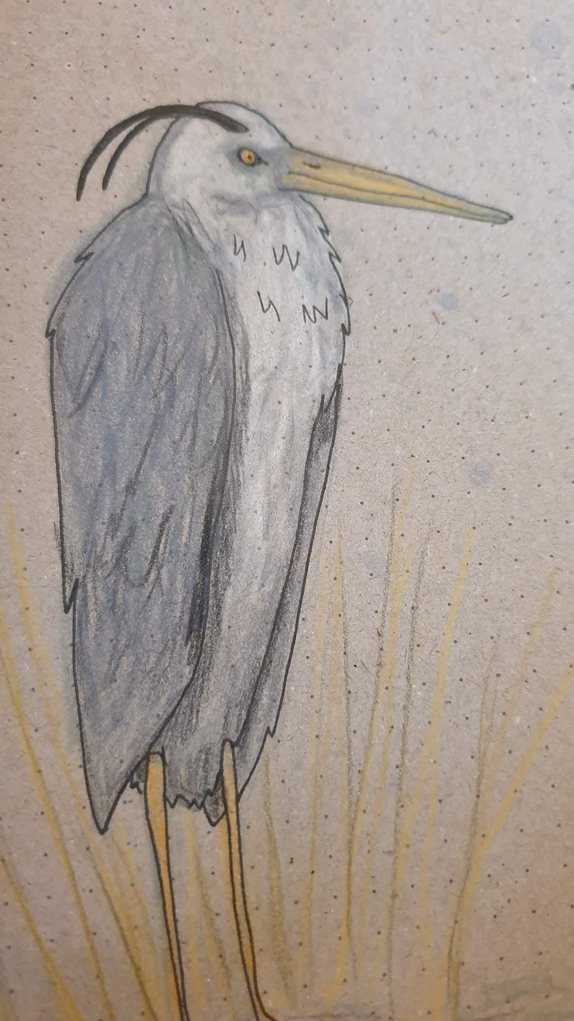 facebook_1591026669246_6673249522925404844