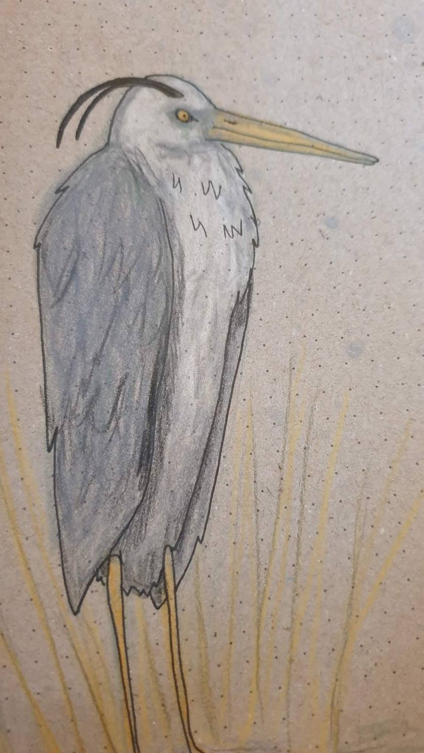 facebook_1591026669246_6673249522925404844