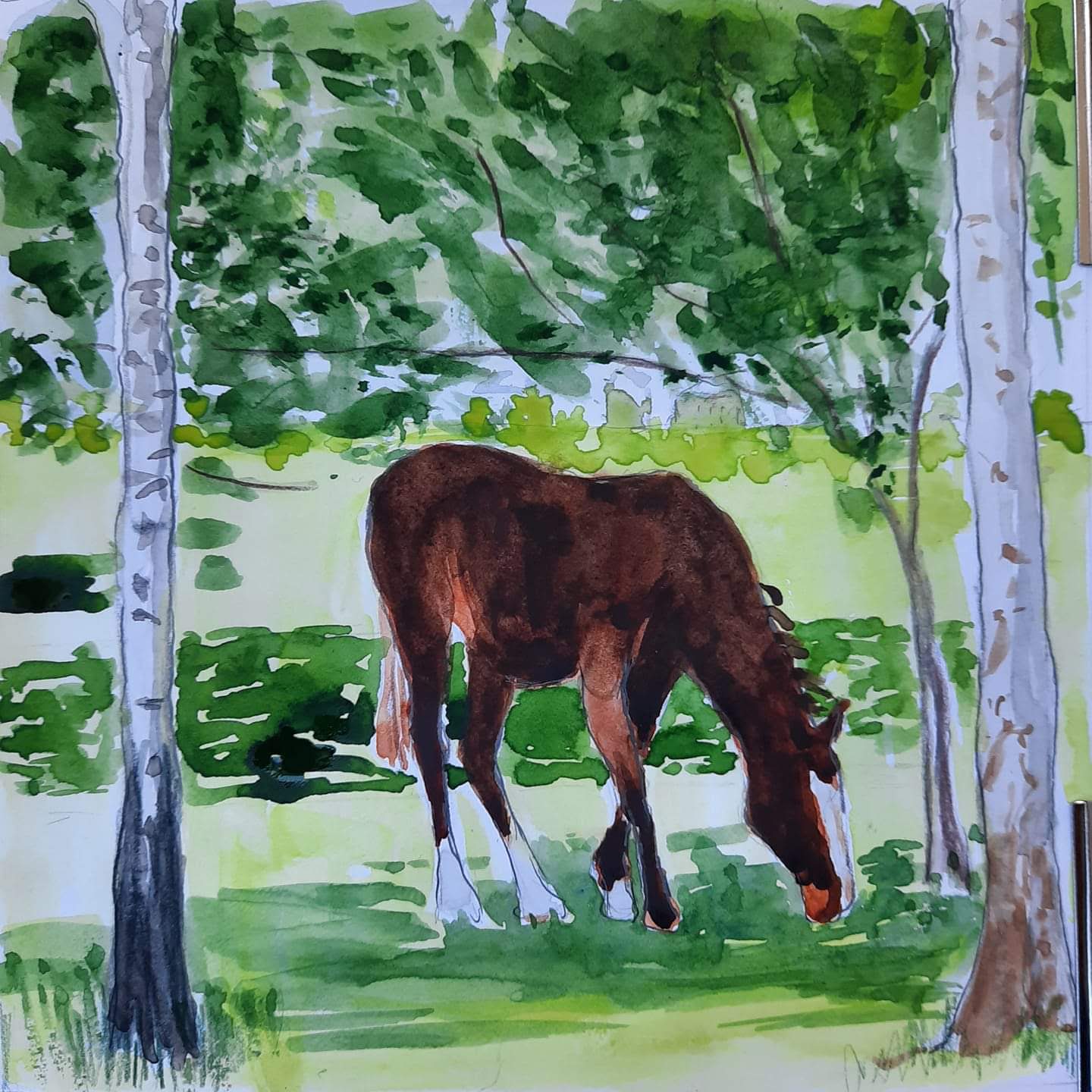 facebook_1591026711726_6673249701102347492