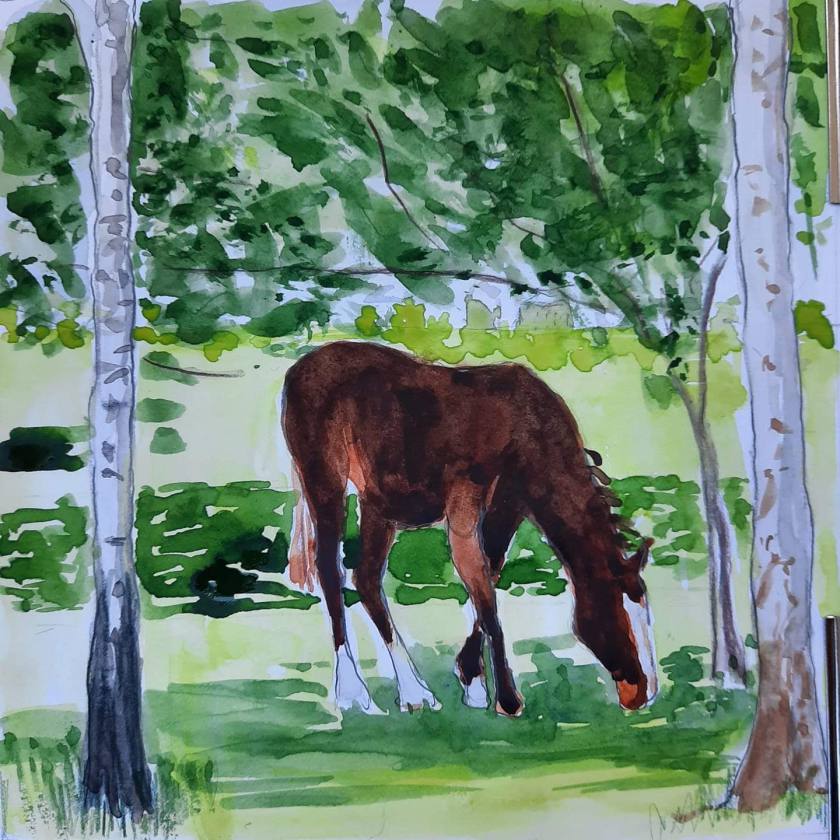 facebook_1591026711726_6673249701102347492