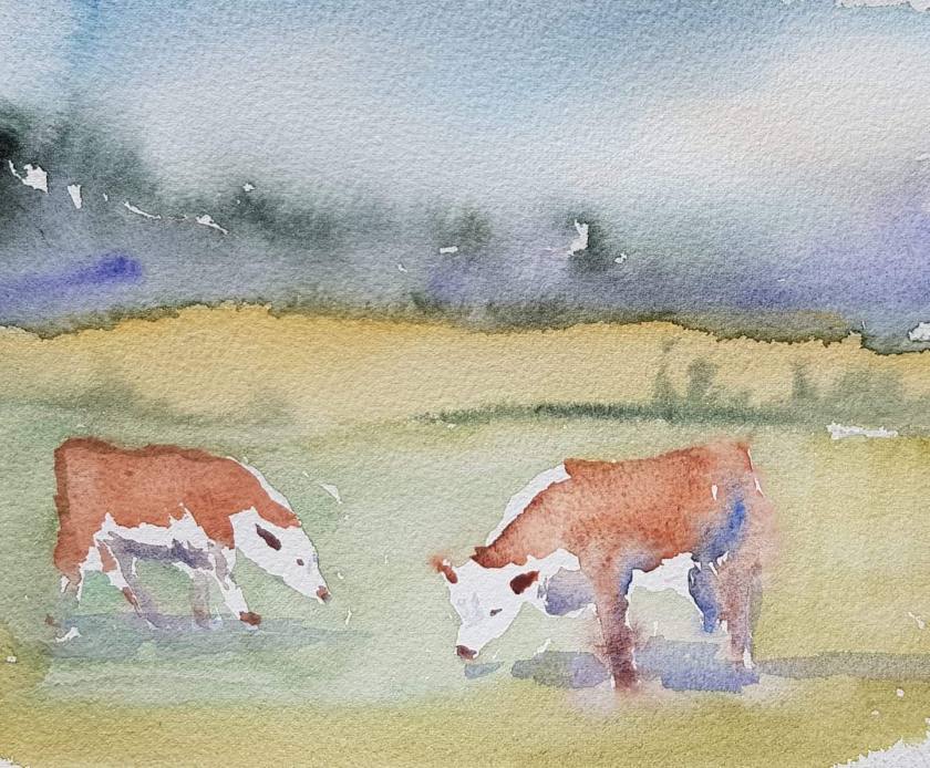 facebook_1591026735256_6673249799792250877