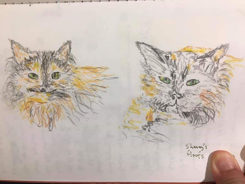 facebook_1591026756502_6673249888906954679