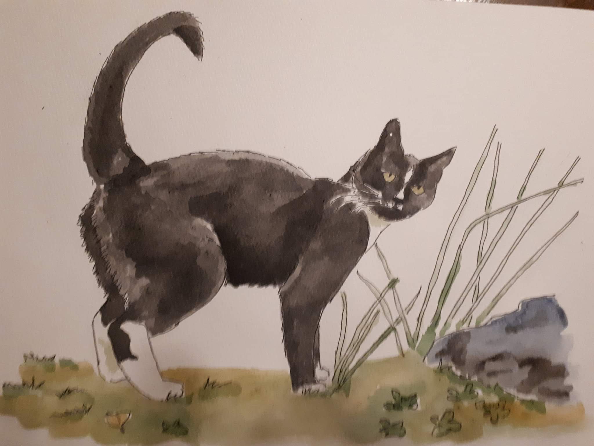 facebook_1591026772341_6673249955338226705