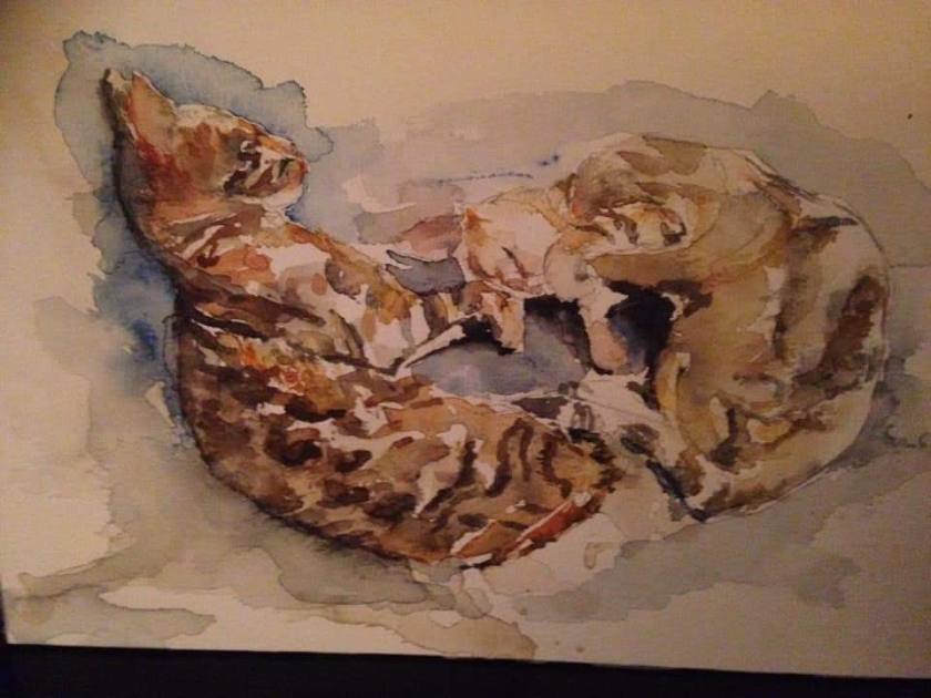 facebook_1591026797763_6673250061964995296