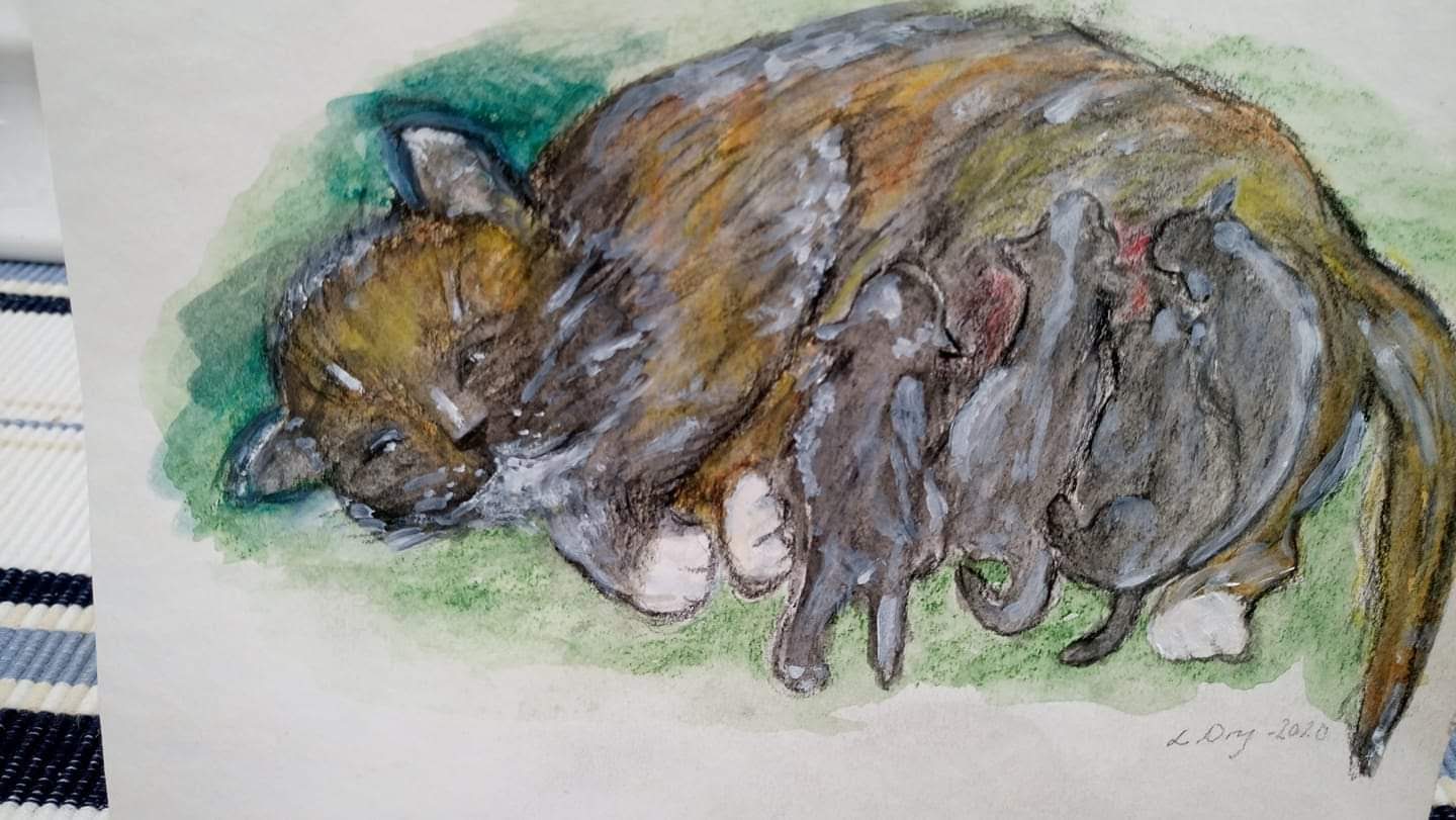 facebook_1591026815564_6673250136628895478