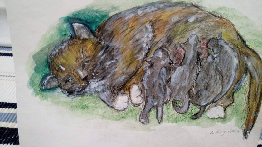 facebook_1591026815564_6673250136628895478