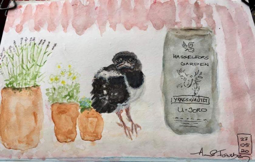 facebook_1591026838014_6673250230790356352