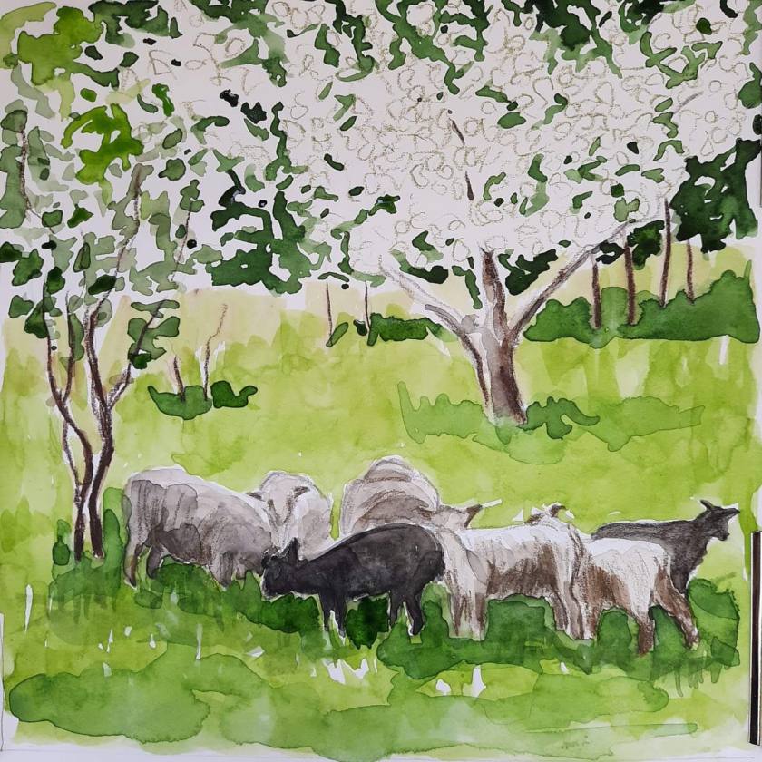 facebook_1591026864899_6673250343557469615