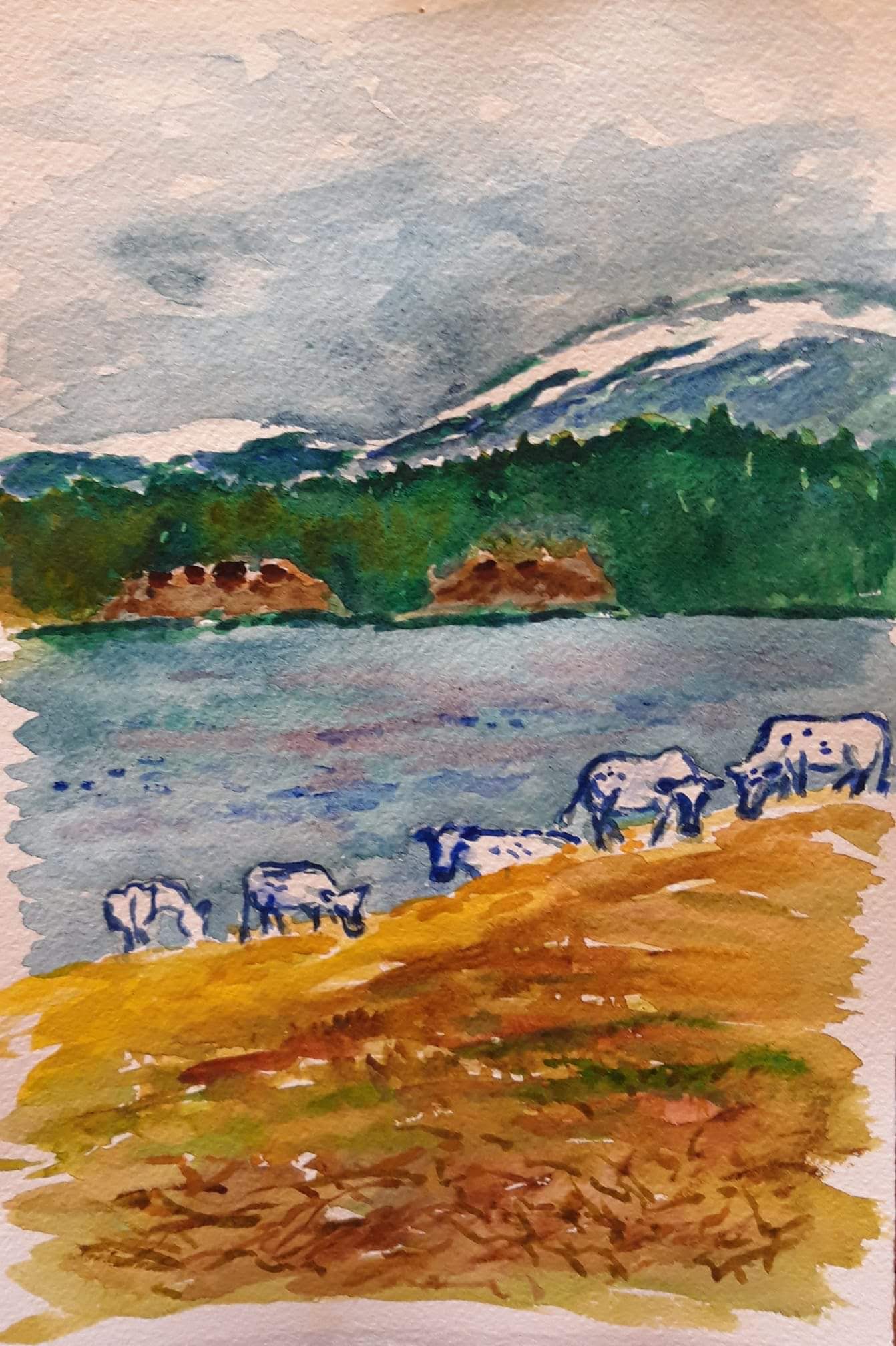 facebook_1591026886135_6673250432626140825