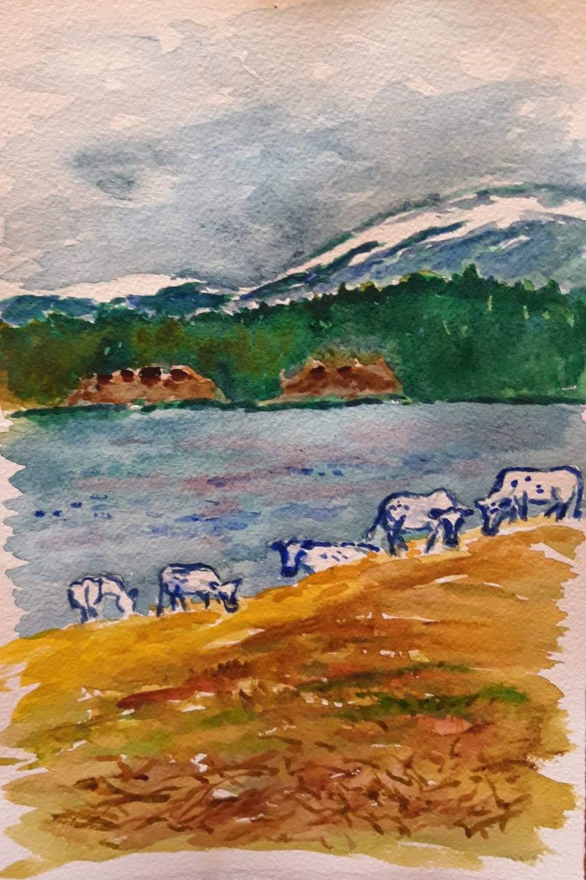 facebook_1591026886135_6673250432626140825