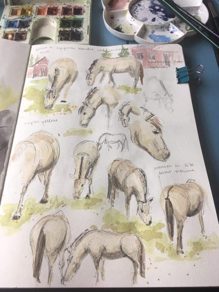 facebook_1591026915144_6673250554296209250