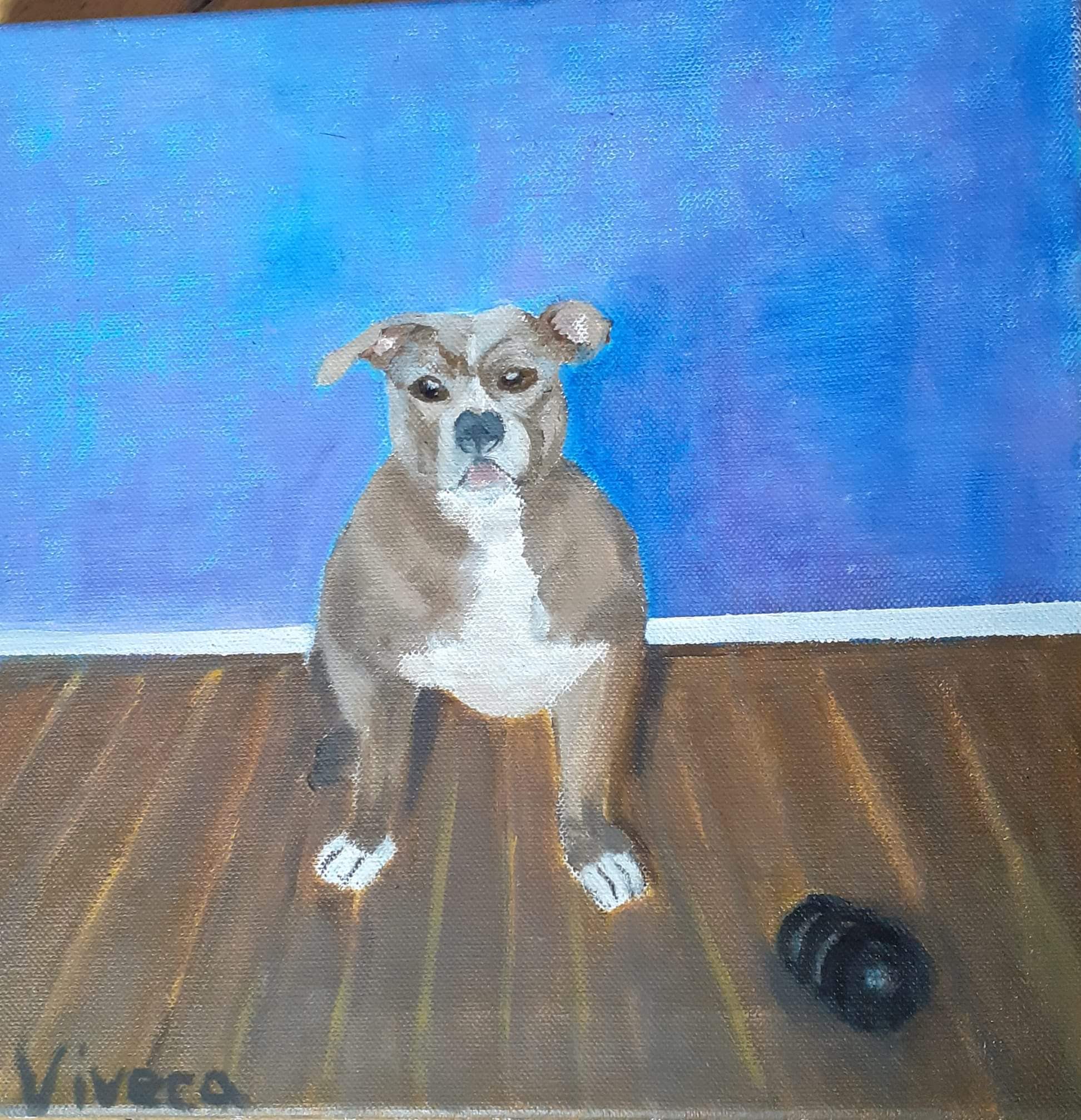 facebook_1591026935848_6673250641138785686