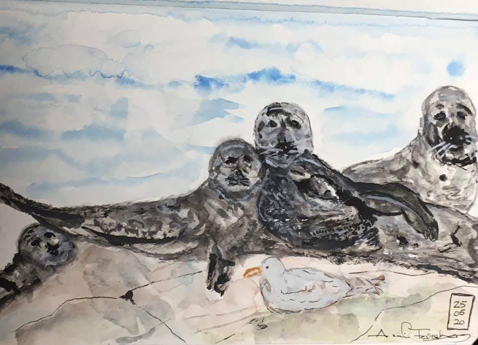 facebook_1591026955513_6673250723619397081