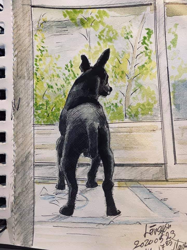 facebook_1591026979091_6673250822512956098