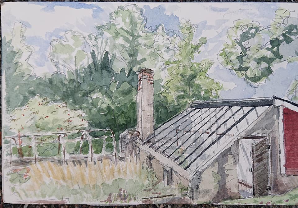 Coronatider v28-29 Grönska