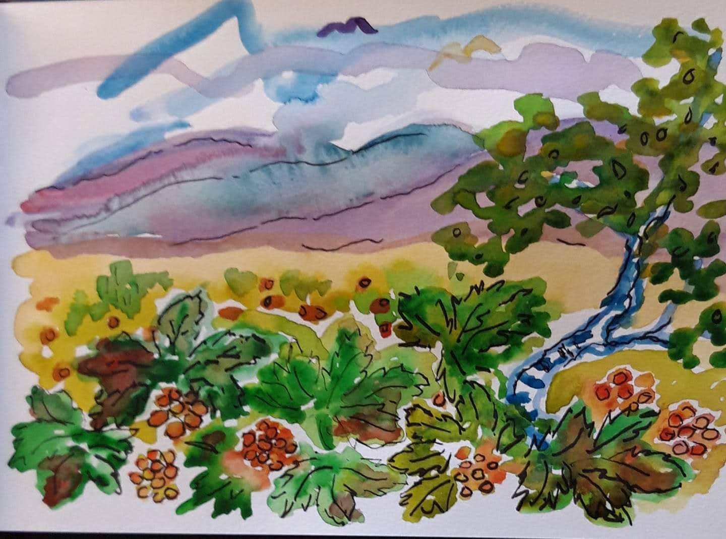 facebook_1596377706081_6695693398129044771