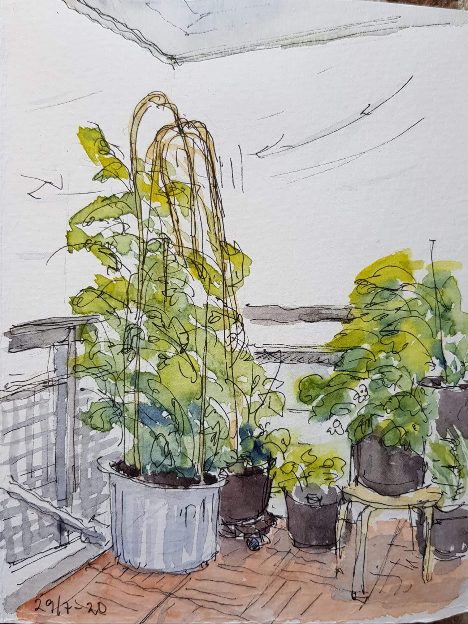 facebook_1596377872319_6695694095380420036